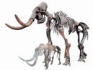 Scientists have discovered the remains in Crete of the smallest in the world of mammoths