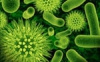 In the Pacific Ocean have discovered the slowest bacteria (Automatic translation)